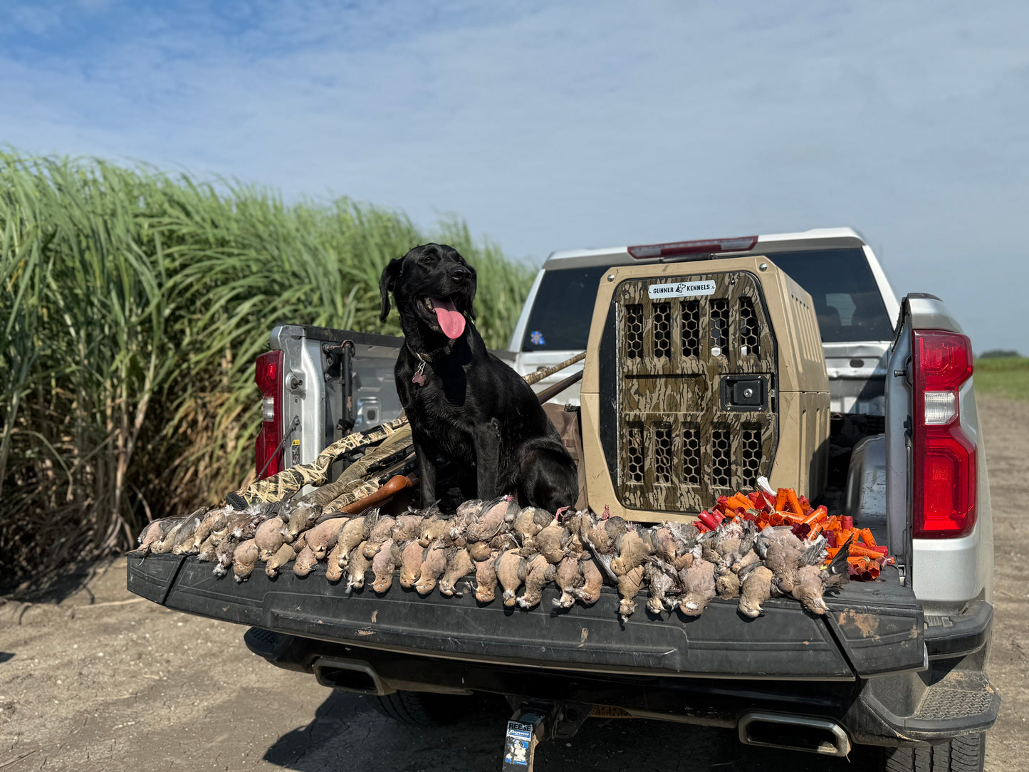 Dove Willow Wings 6-Pack